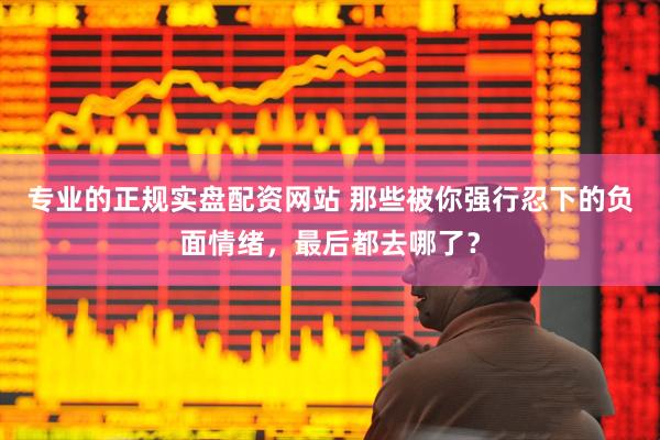 专业的正规实盘配资网站 那些被你强行忍下的负面情绪，最后都去哪了？